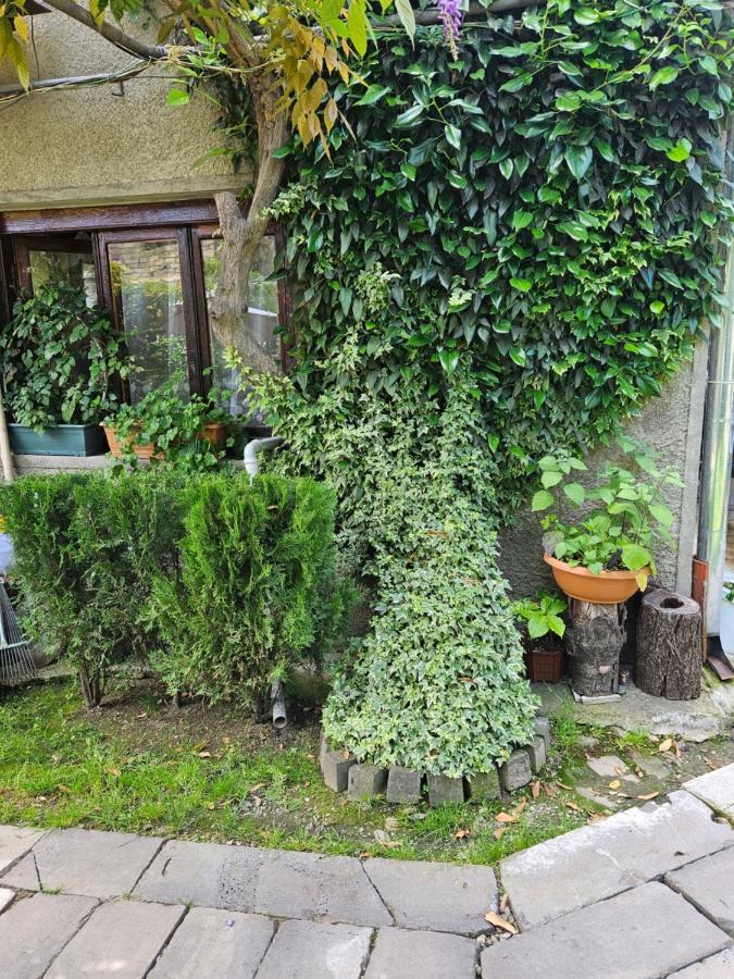 Tamari Guest House Telavi Exterior photo