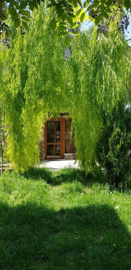 Tamari Guest House Telavi Exterior photo